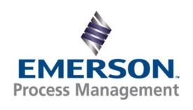44emerson-process-logo